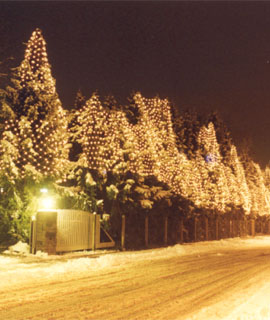 Weihnachten 2005 - Troher Weihnachtslichter