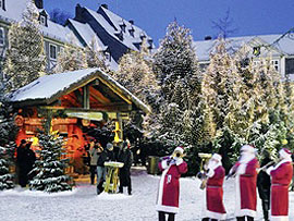 Goslarer Weihnachtswald