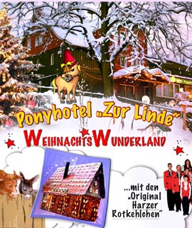 Weihnachten 2005 - Weihnachtsmarkt Riefensbeek