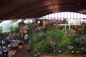 Weihnachten 2005 - Weihnachtsmarkt Wiesmoor
