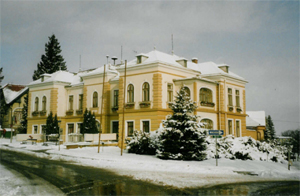 Weihnachten 2004 - Christbaumdorf Bad Sauerbrunn