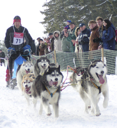 Weihnachten 2004 - Int. Schlittenhunderennen Beneckenstein