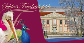 Silvesterkonzerte auf Schloss Friedrichsfelde