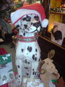 Sirius der Hundestern Sirius der Hundestern