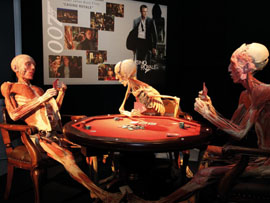 Körperwelten & Der Zyklus des Lebens