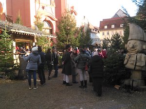 Winterwald in Fulda