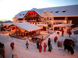 Weihnachtsmarkt Gut Aiderbichl