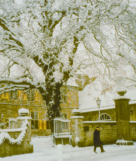 Weihnachten 2005 - Weihnachtsmarkt am Münsterhof