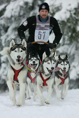 19. Internationales Schlittenhunderennen