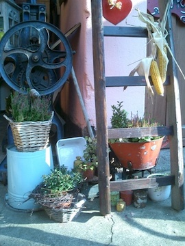 Tau’n Hoegen un mit maken Tau’n Hoegen un mit maken