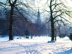 Weihnachten 2005 - Märchen-Weihnachtsmarkt Thale