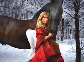 Weihnachtsmarkt Köln Neumarkt