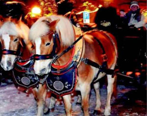 Christkindlmarkt in Laufen Christkindlmarkt in Laufen