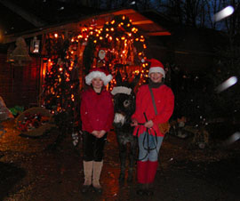 Pronstorfer Weihnacht Pronstorfer Weihnacht