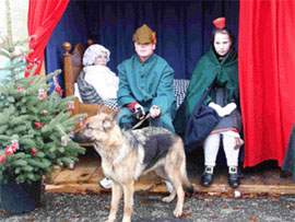 Weihnachtsmarkt in Schwalmstadt