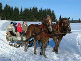 Weihnachten 2005 - Weihnachtsmarkt Unterweißenbach