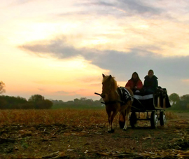 Karls Weihnachten auf dem Lande in Warnsdorf Karls Weihnachten auf dem Lande in Warnsdorf